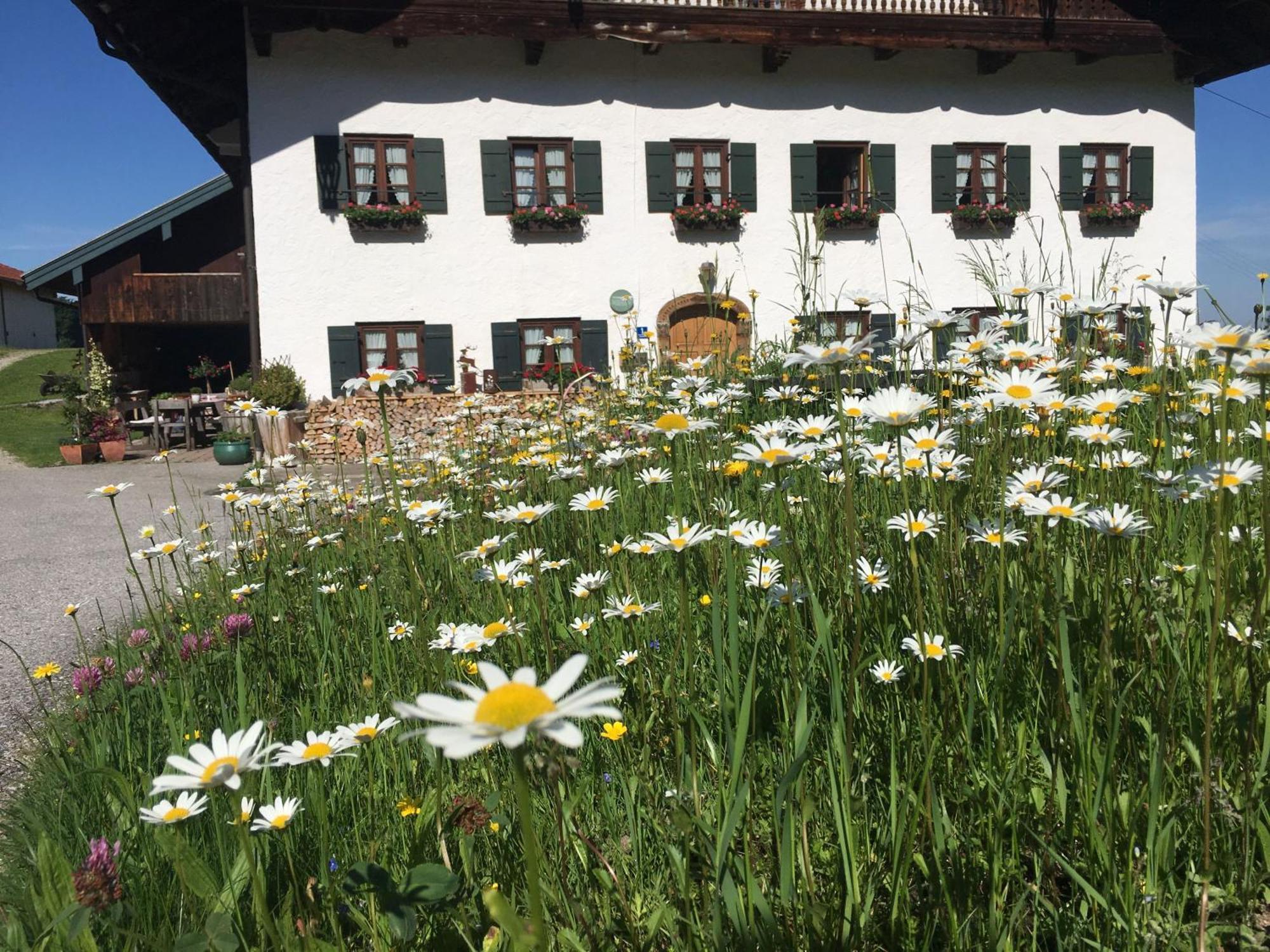 Stadlerhof Frasdorf Extérieur photo